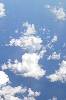 c0039205_10261985.jpg