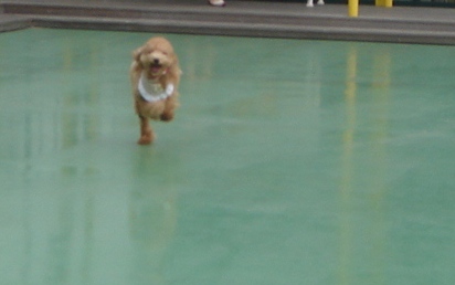 c0041207_15514414.jpg