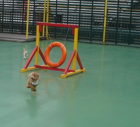c0041207_15515660.jpg