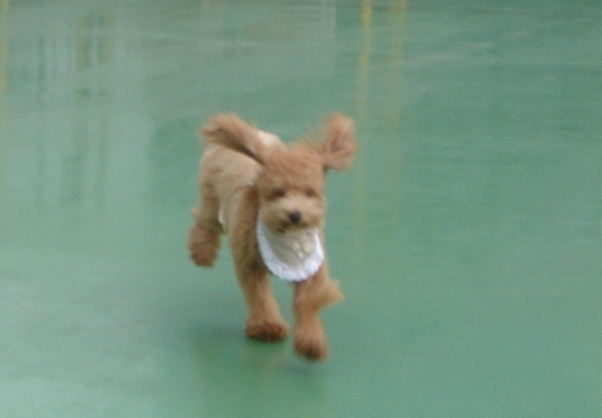 c0041207_15522095.jpg