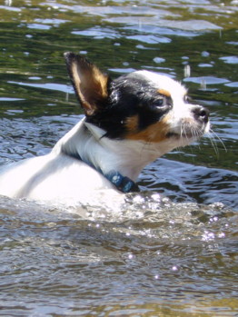 e0032508_20373555.jpg
