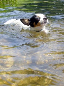 e0032508_20411471.jpg