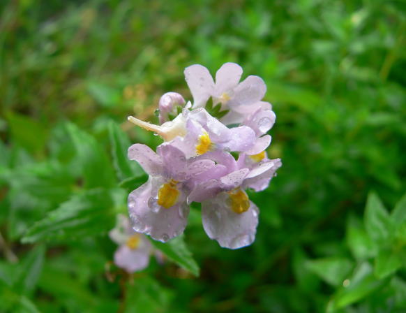 a0015815_936253.jpg