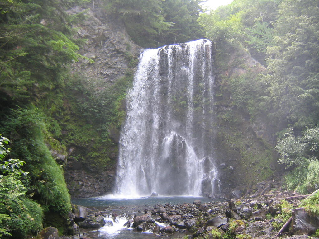 f0063920_361873.jpg