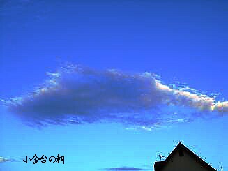 f0000521_16181324.jpg
