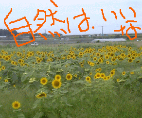 f0033921_020667.gif