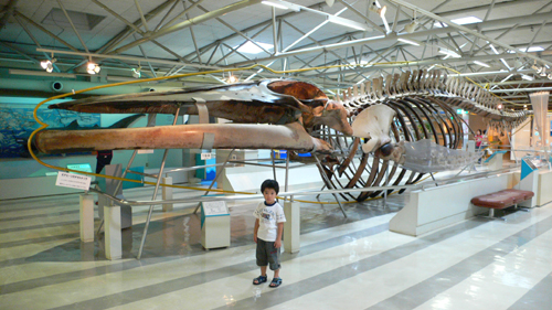 f0060424_1004949.jpg