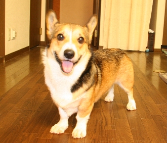 e0071225_1283682.jpg