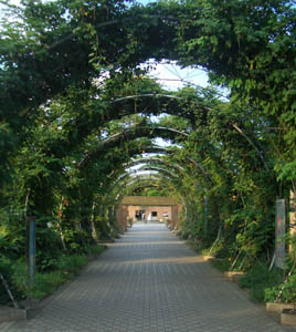 f0022130_1244830.jpg