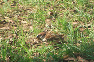 f0022130_124512.jpg