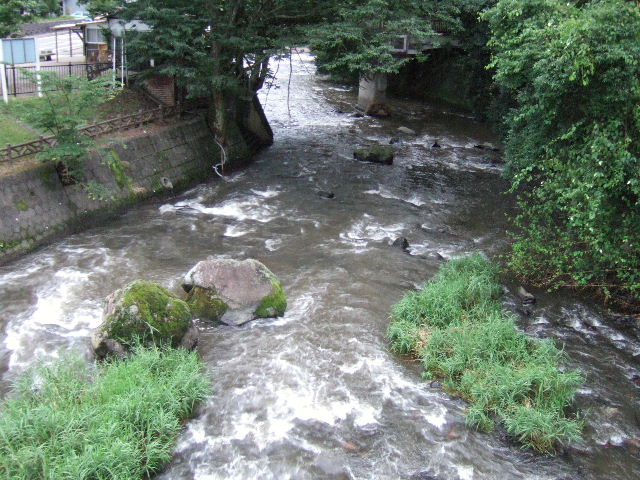 e0064133_1414492.jpg