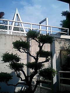 f0071840_1556557.jpg