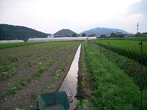 c0072843_19394265.jpg