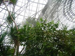 f0053847_0353872.jpg