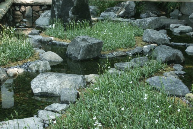 f0044056_16213767.jpg