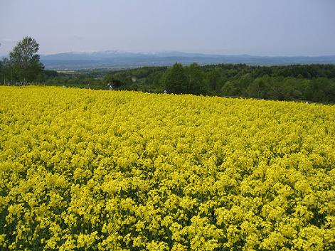 f0049160_23434315.jpg