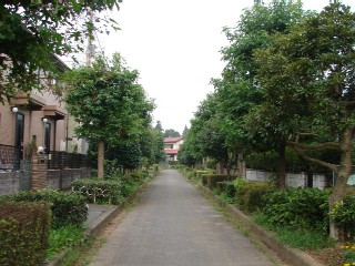 b0061261_2150164.jpg