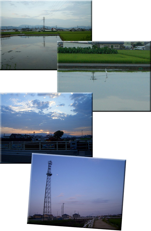 f0104569_10495532.jpg