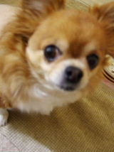 f0052071_13222631.jpg