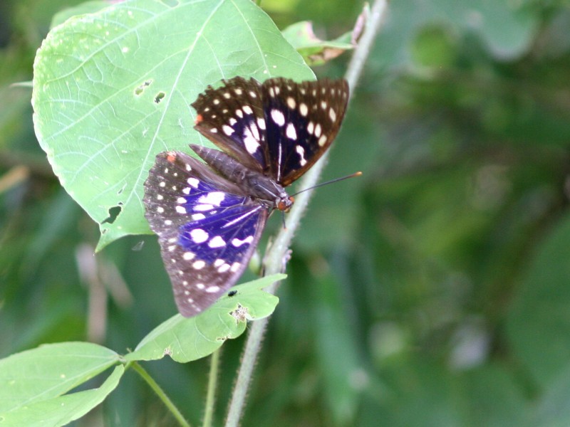 b0088772_20311386.jpg