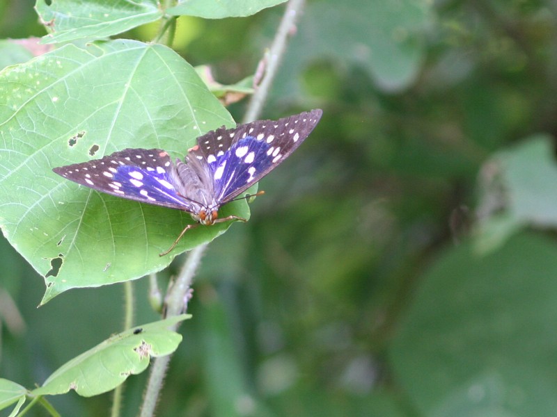 b0088772_2031188.jpg