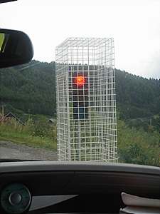 f0008573_1353293.jpg