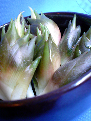 f0056476_1230944.jpg