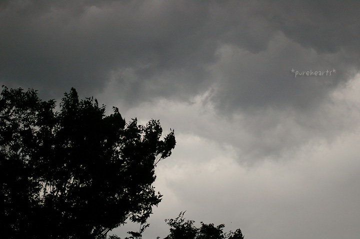c0052787_22594660.jpg