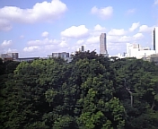 d0057701_1034072.jpg