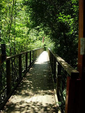 e0068904_1394088.jpg