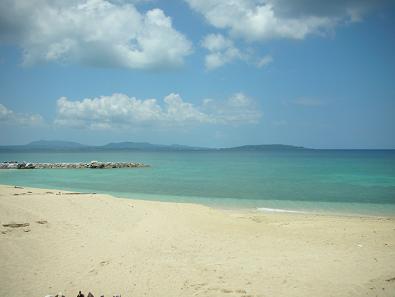 e0068904_240723.jpg
