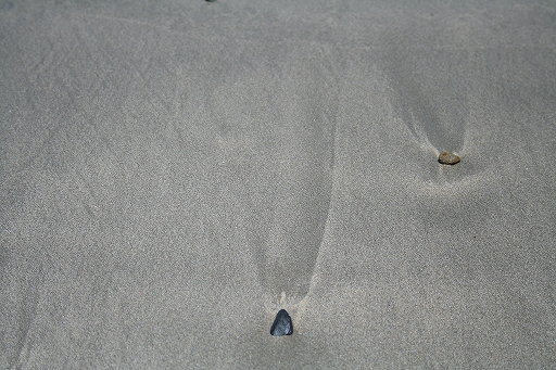 f0034007_231043.jpg