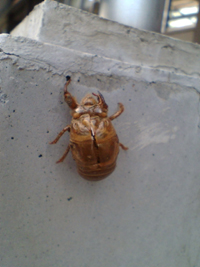 e0056411_1816288.jpg