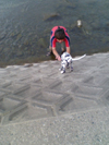 e0056411_2112681.jpg