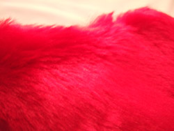 f0062820_10204379.jpg