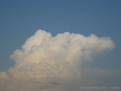 d0005621_0444648.jpg