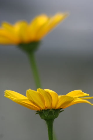e0001123_2213086.jpg