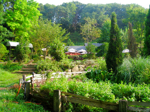 d0017632_20442886.jpg