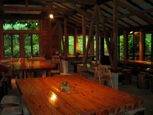 d0017632_2053976.jpg