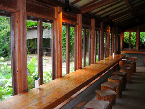 d0017632_2055627.jpg