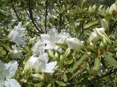 f0078132_17124166.jpg