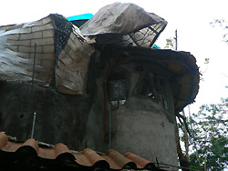 b0090333_1101642.jpg