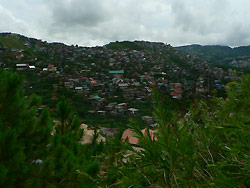b0090333_174717.jpg