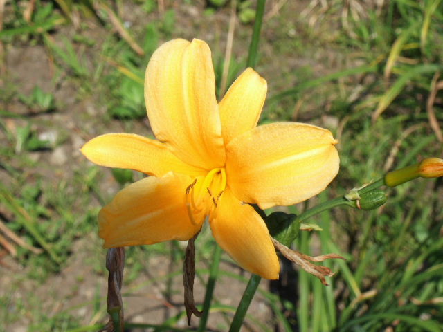 e0064133_024241.jpg