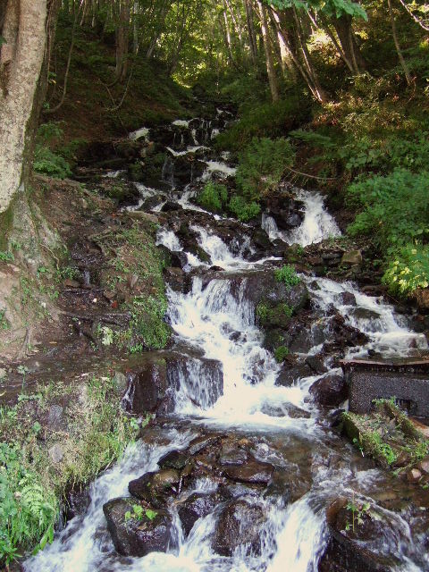 e0064133_0264143.jpg