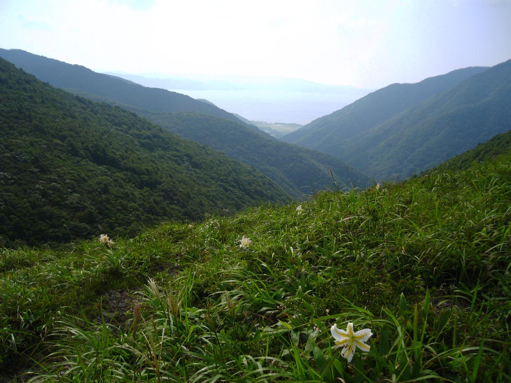 f0056038_232225100.jpg
