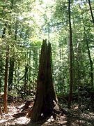 c0052539_2254632.jpg
