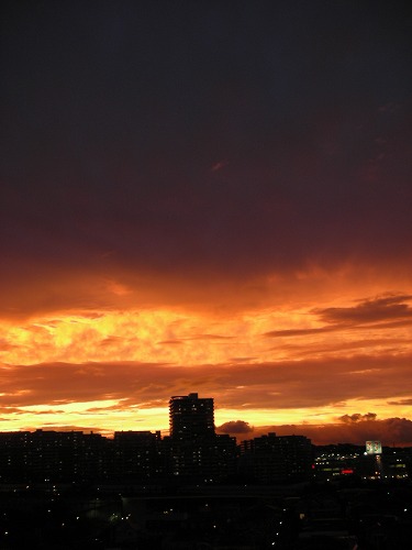 c0083439_10593666.jpg