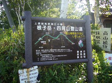 f0065941_21491560.jpg