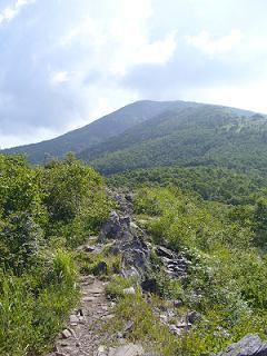 f0065941_21524736.jpg